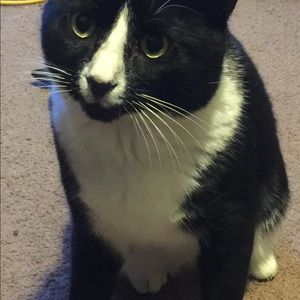 Meet your Posher, Gina